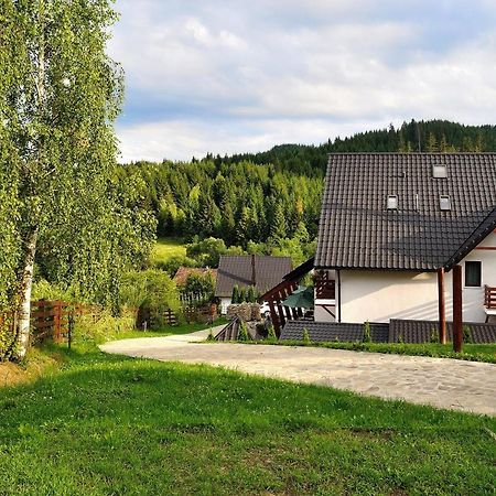 Pensiunea Doina Bucovinei Manastirea Humor Exterior foto