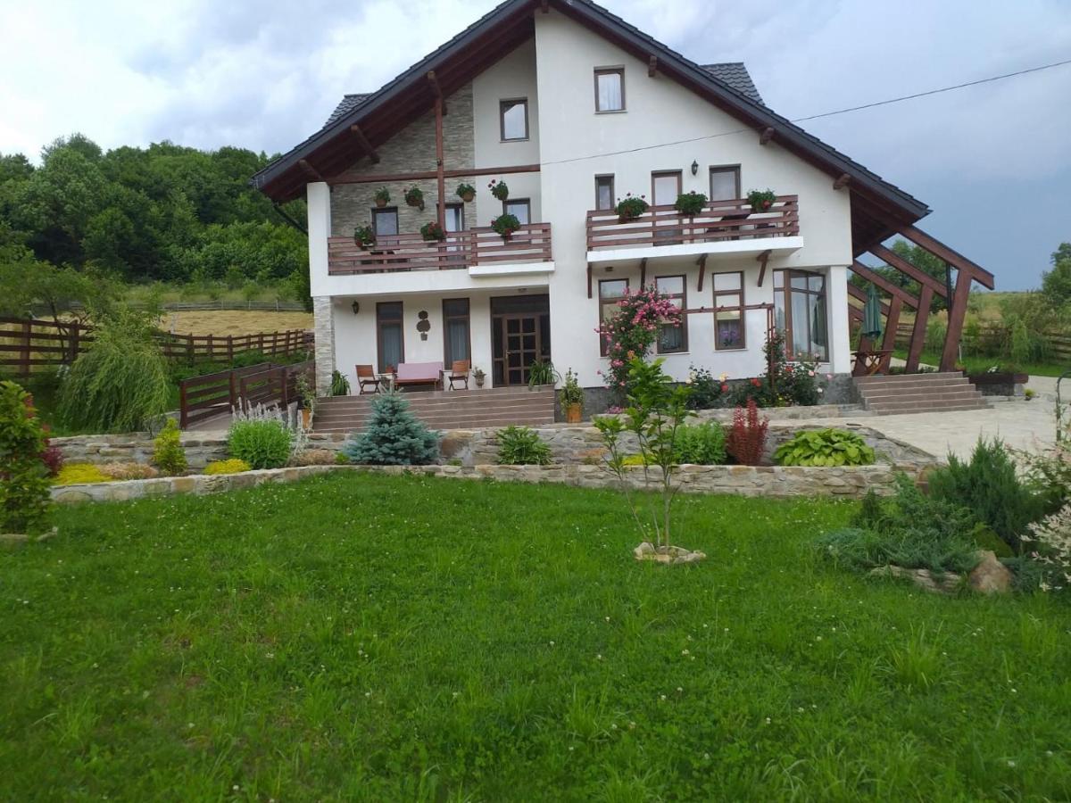 Pensiunea Doina Bucovinei Manastirea Humor Exterior foto
