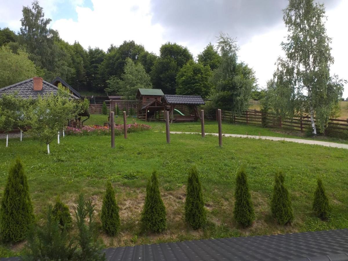 Pensiunea Doina Bucovinei Manastirea Humor Exterior foto