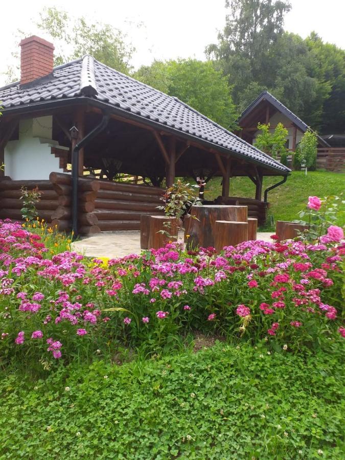 Pensiunea Doina Bucovinei Manastirea Humor Exterior foto