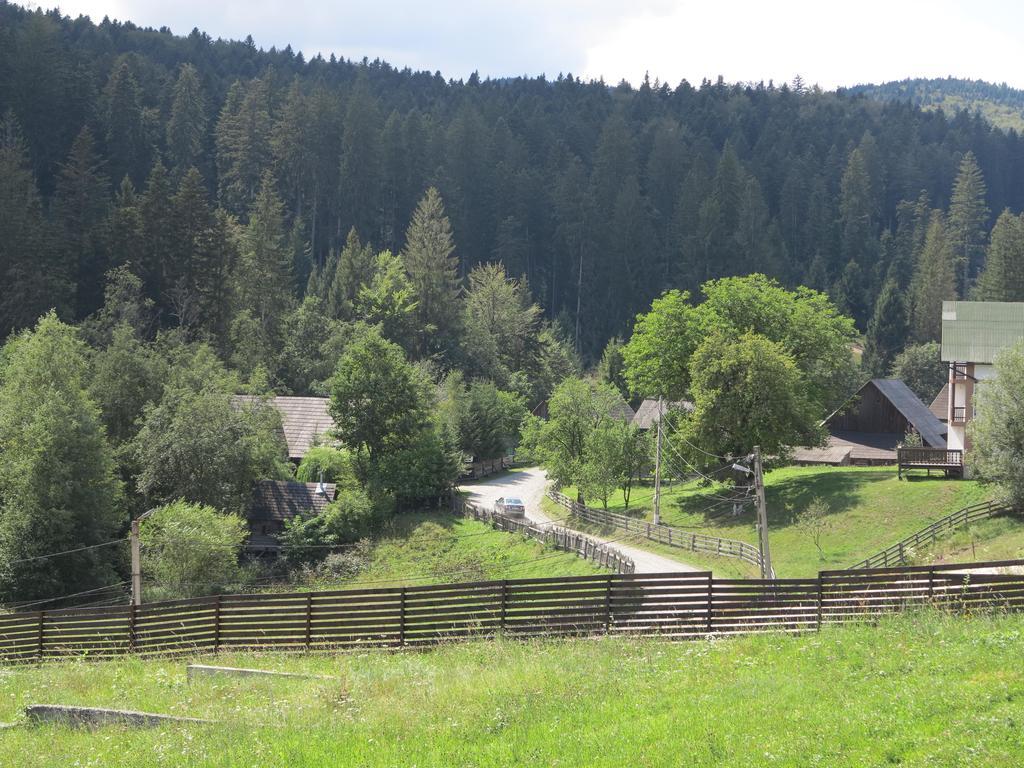 Pensiunea Doina Bucovinei Manastirea Humor Exterior foto