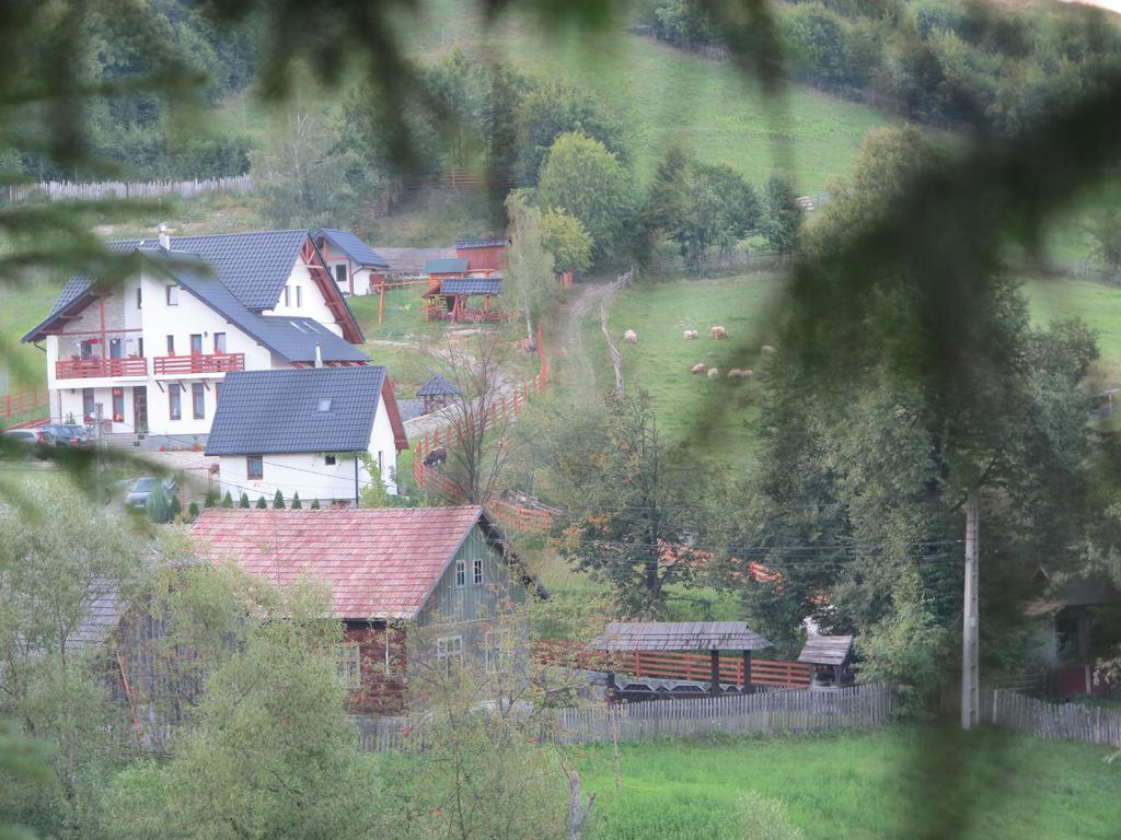 Pensiunea Doina Bucovinei Manastirea Humor Exterior foto