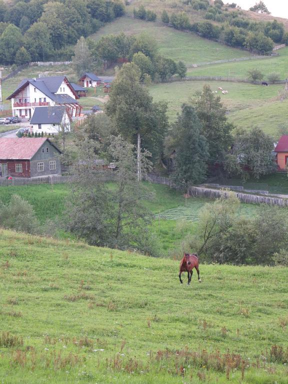 Pensiunea Doina Bucovinei Manastirea Humor Exterior foto