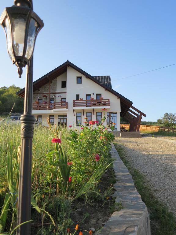 Pensiunea Doina Bucovinei Manastirea Humor Exterior foto