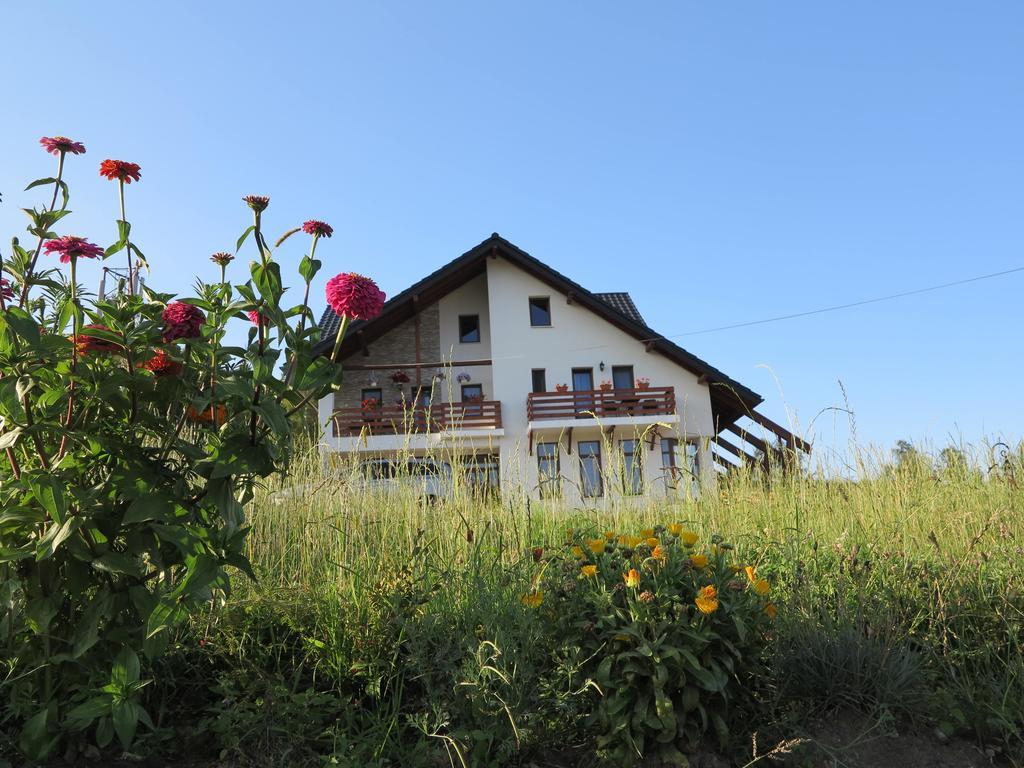 Pensiunea Doina Bucovinei Manastirea Humor Exterior foto