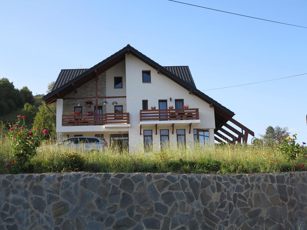 Pensiunea Doina Bucovinei Manastirea Humor Exterior foto