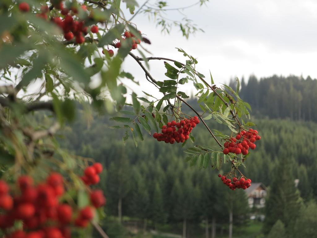 Pensiunea Doina Bucovinei Manastirea Humor Exterior foto
