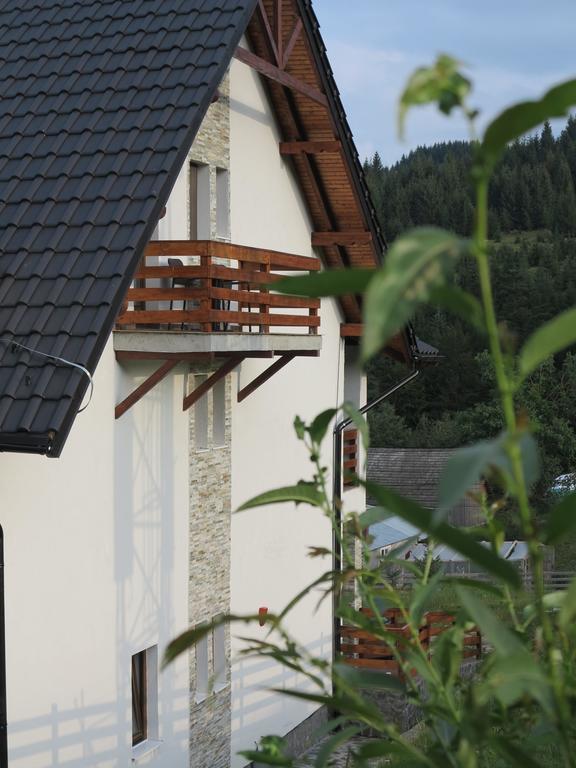 Pensiunea Doina Bucovinei Manastirea Humor Exterior foto