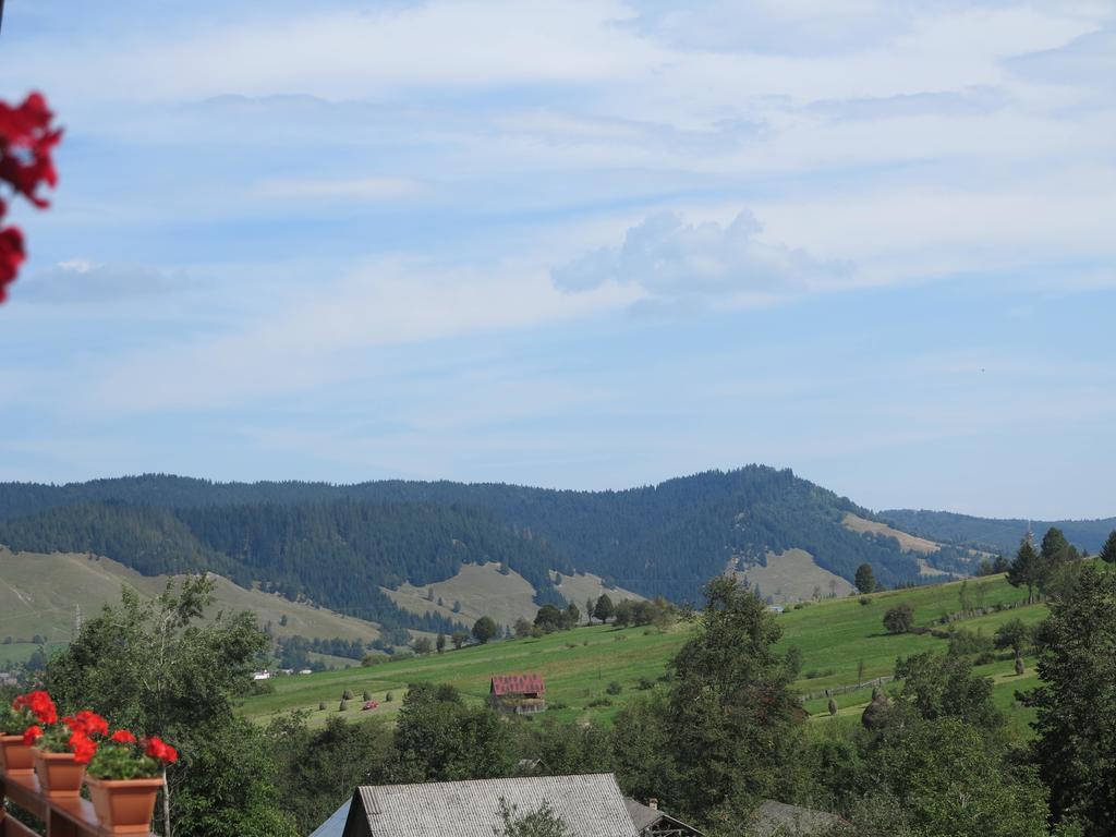 Pensiunea Doina Bucovinei Manastirea Humor Exterior foto